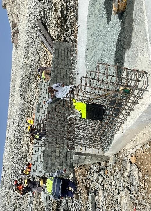 Column reinforcement cage